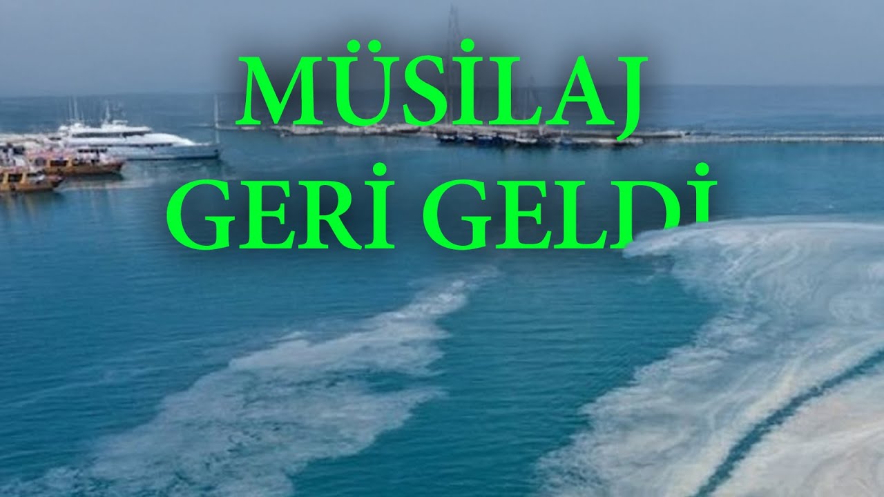 Marmara Denizi ile ilgili haber